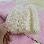◉ 南投國姓鄉 ◉【多福農場】手工自曬純天然菜瓜布 ◉【塊狀.剖半】C級 長 8-10cm x 寬 9cm
