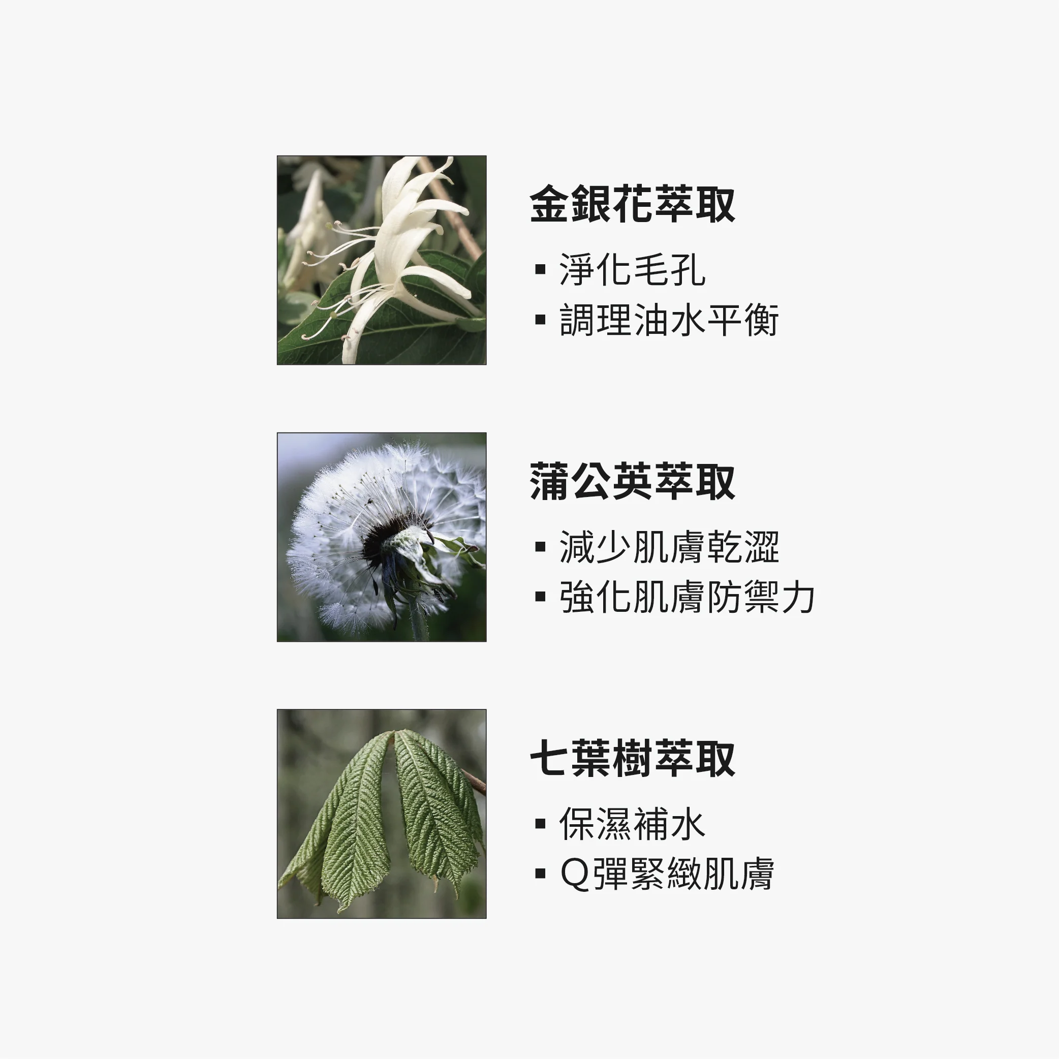 【TRUE TISANE】金銀花淨化毛孔潔面凝露 - Image 4
