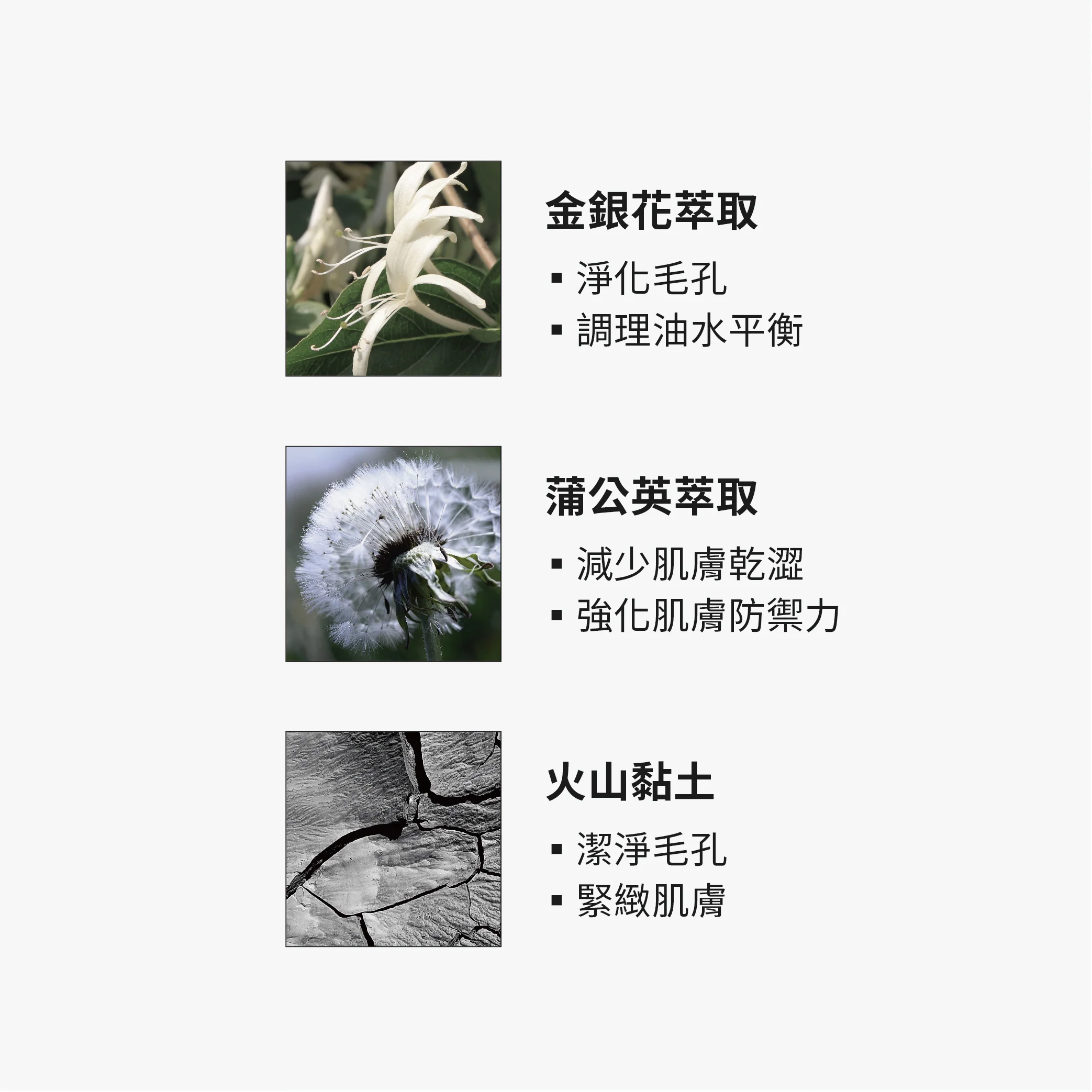 【TRUE TISANE】金銀花控油火山泥膜 - Image 4