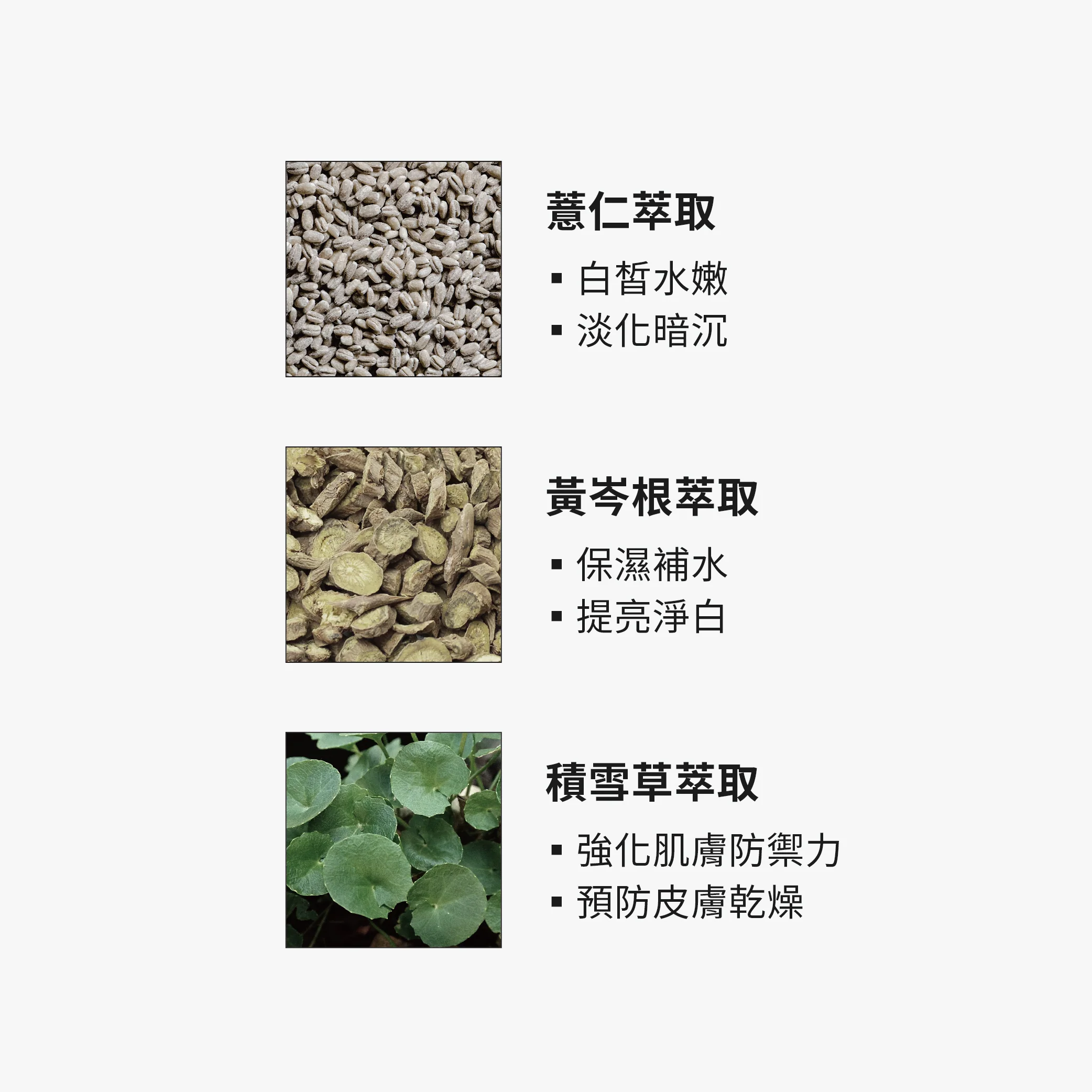【TRUE TISANE】美白面膜 - Image 4