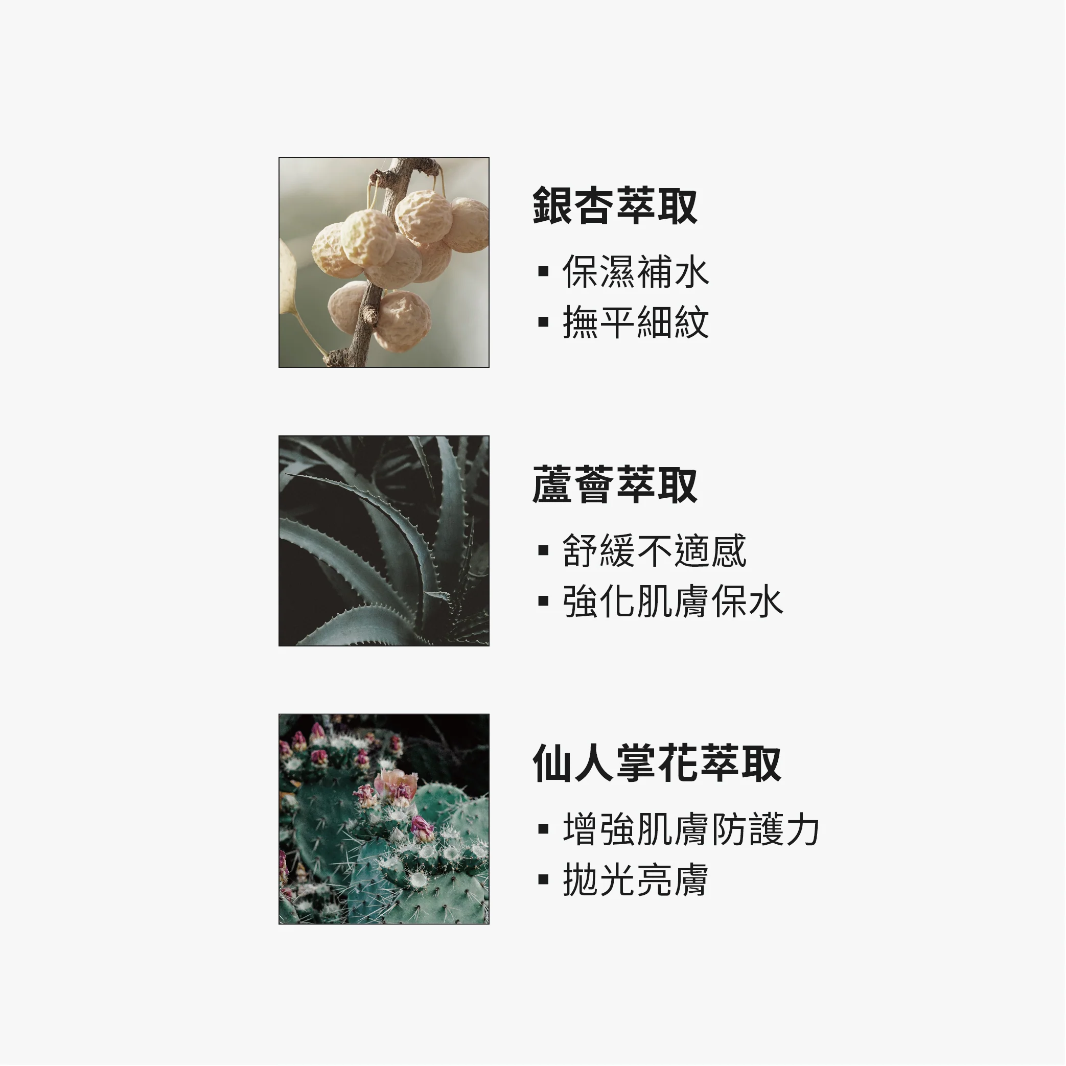 【TRUE TISANE】銀杏水感保濕面膜 - Image 4
